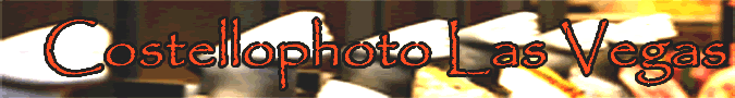 convention photographs las vegas award winning photographer tradeshow photography